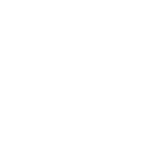 VRooster - Game Development Company Logo